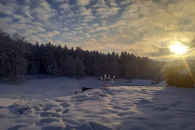 Ferienwohnung im Bayerischen Wald mit...