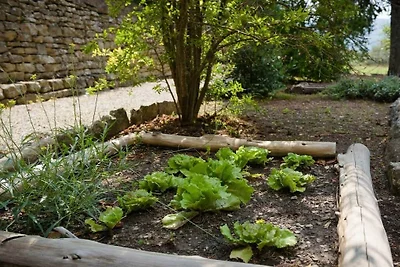 Villa a Cortona con piscina