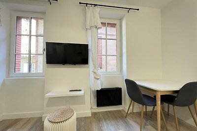 Gemütliche 2-Zimmer-Wohnung in Toulouse