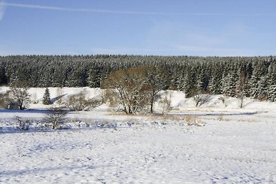 Ferienwohnung, Braunlage-ehemals TUI...