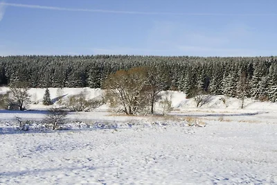 Ferienwohnung Hexenzauber I in Braunlage
