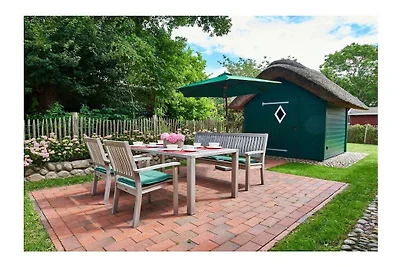 Objekt 55  || South End