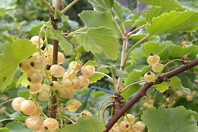 5 Personen Ferienhaus in ESKILSTUNA