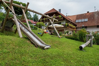 Charmantes Apartment im Schuttertal mit...