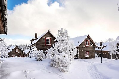 Ferienhäuser im Torfhaus Harzresort, Torfhaus