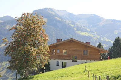 Chalet met sauna bij het skigebied