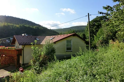 Ferienhaus in der Nähe eines Skigebietes