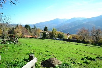 Ferienhaus mit privatem Pool