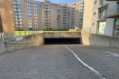Wohnung in Nieuwpoort mit Meerblick