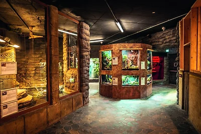 apartman za odmor Obiteljski odmor Weißenhäuser Strand