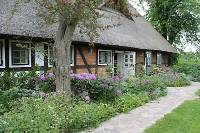 Ferienwohnung in Reddelich f�r 4 Personen