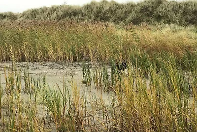 4 Personen Ferienhaus in Læsø-By Traum