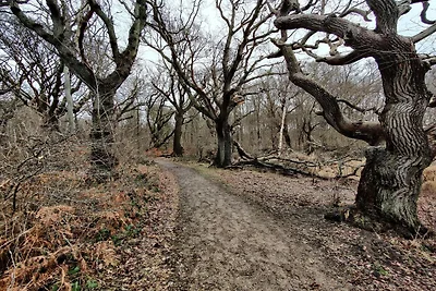 Rifugio sul mare a Stoense-By Traum