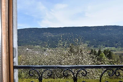 Casa vacanze a Saulxures-sur-Moselotte
