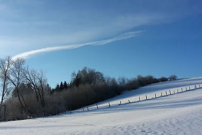 Ferienwohnung in Regen mit Schwimmbecken