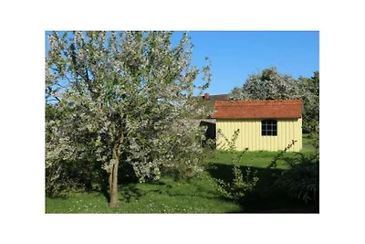 Ferienhaus in Ludorf mit Schwimmbecken