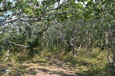 8 Personen Ferienhaus in Ebeltoft-By Traum