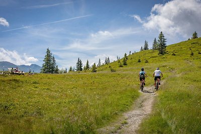 Luxe chalet in het Zillertal met privézwembad