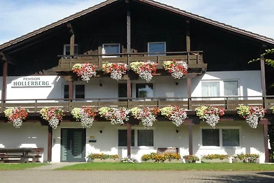 Ferienwohnung in Regen mit Schwimmbecken
