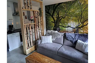 Wohnung mit Balkon in Winterberg