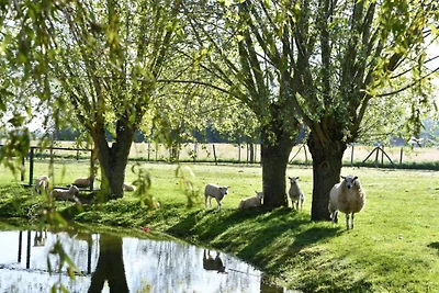 Wohnung in Nieuwpoort am Sandstrand