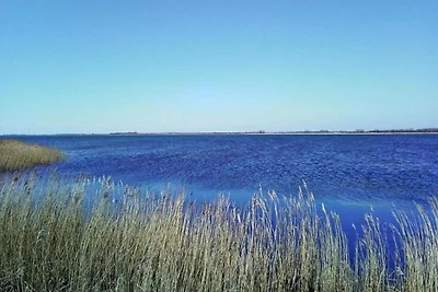 Casa vacanze a Vieregge con terrazza