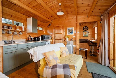 Huisdiervriendelijk chalet in Surlingham, Gee...