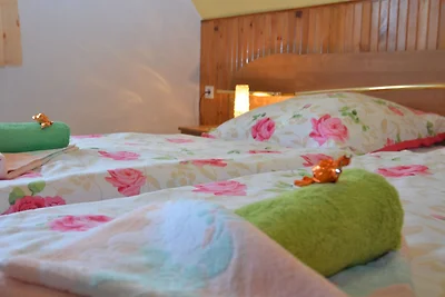 Wohnung mit Garten in Sebnitz