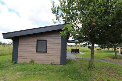 Chalet met gedeeld zwembad vlakbij Giethoorn