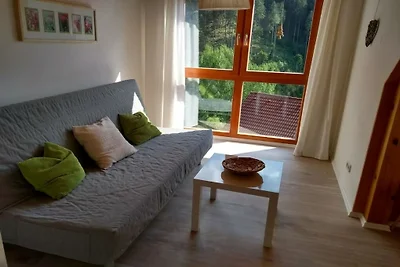 Casa vacanze a Hornberg con piscina