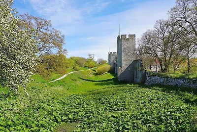 8 persone case ad GOTLANDS.TOFTA