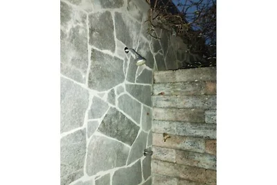 Komfort mit Schaumbergblick