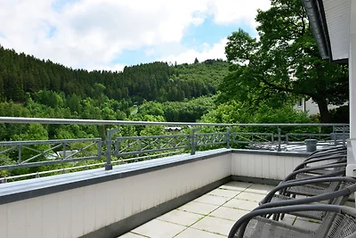 Ampio appartamento per le vacanze a Willingen...