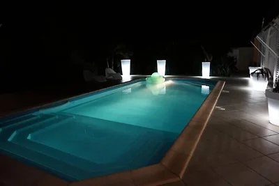 Villa sull'albero del viaggiatore