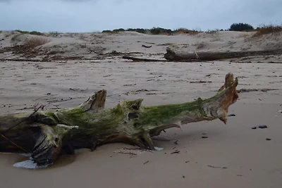 6 persone case ad Bindslev-By Traum