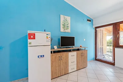 Modernes Ferienhaus in Jasenice mit Veranda