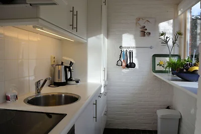 Bungalow moderno nell'Olanda meridionale
