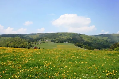 Ferienwohnung bei Willingen mit eigener...