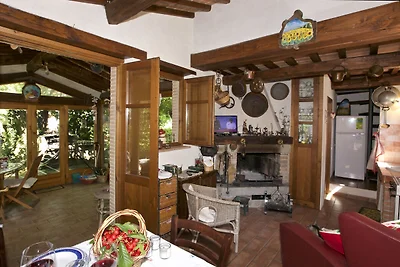 Ferienhaus in Seggiano mit Wald