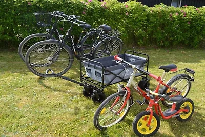 Vakantiehuis met 3 slaapkamers