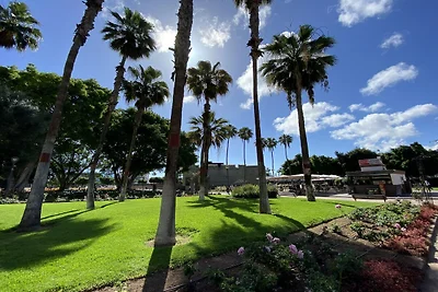 Appartamento a Las Palmas vicino Las Canteras