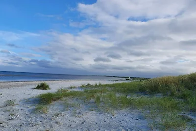 6 Personen Ferienhaus in Ålbæk-By Traum