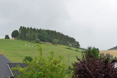 Wohnung in Heringhausen mit eigener Terrasse