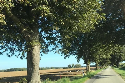 Nella regione (estate) (>5 km) Nella regione (estate) (>5 km)