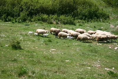Splendido agriturismo a Passignano con...