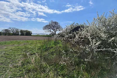 6 Personen Ferienhaus in Haarby-By Traum