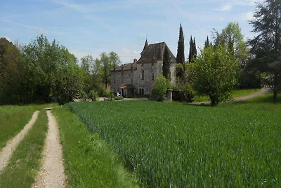 Autentico castello vicino ad Agen con sauna
