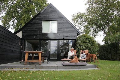 Angenehme Wohnung in Leende mit Terrasse