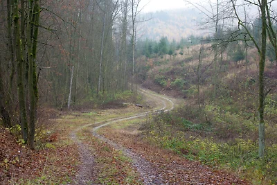 Vacanze tranquilla a Hüttenrode vicino ai...