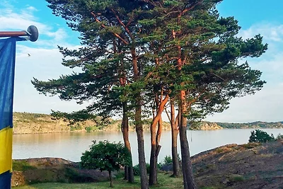 12 persone case ad LYSEKIL